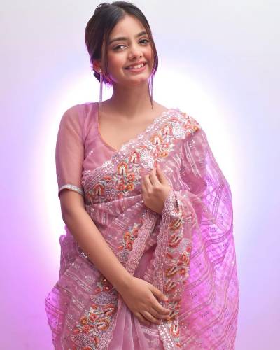 MEERA BY BT DESIGNER HEAVY ORGANZA SILK SAREE WHOLESALER IN INDIA